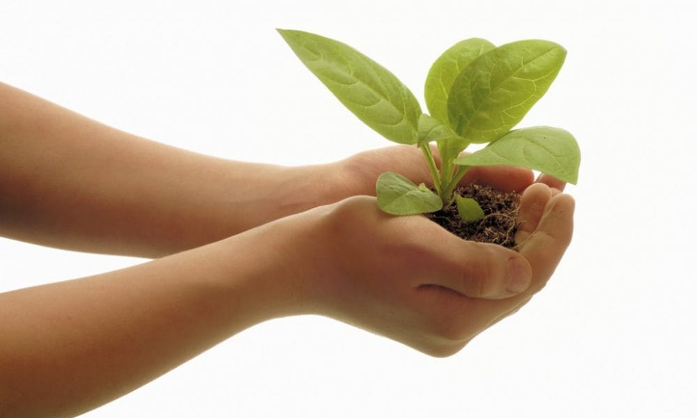 Pupuk organik Indonesia