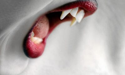 Terobsesi jadi vampir, wanita ini minum darah manusia