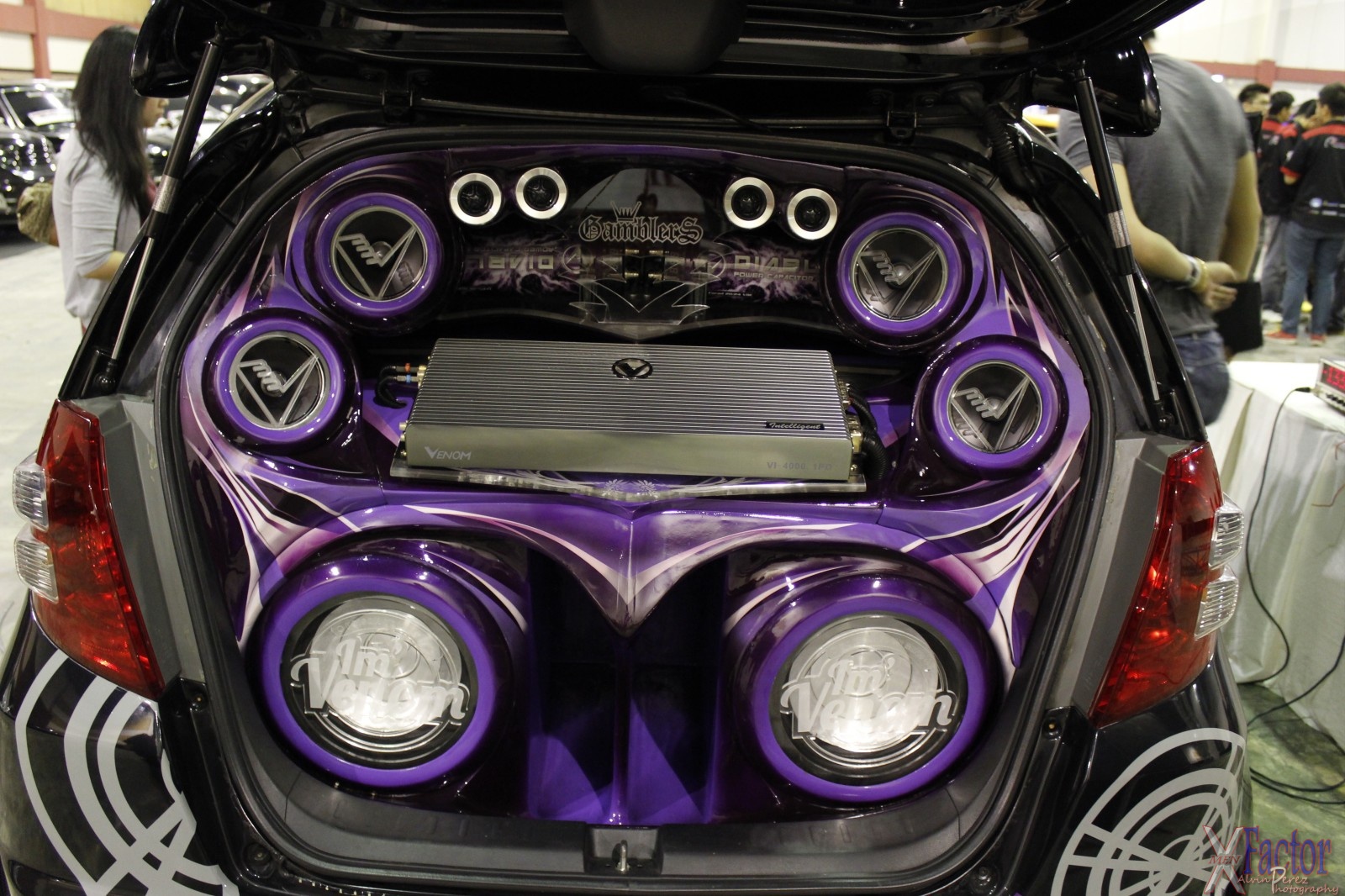 Venom audio car