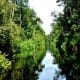 Taman Nasional Tanjung Puting, Si Cantik nan Mendebarkan 50 Taman Nasional Tanjung Puting, Si Cantik nan Mendebarkan