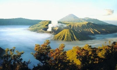 Wisata Gunung Bromo 49 wisata gunung bromo touring