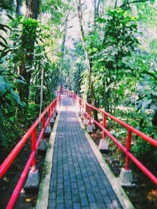 Gunung Tidar, Pesona Alam dan Wisata Ziarahnya 43 Wisata Magelang PuncakTidar Magelang Track Menuju Yang Sudah Mengalami Renovasi