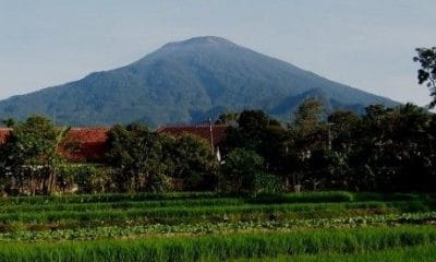 Gunung Tidar, Pesona Alam dan Wisata Ziarahnya 51 gunung