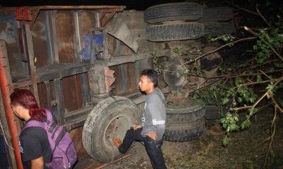 Truk Bermuatan Kayu Sono Keling Terguling 41 truk