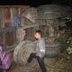 Truk Bermuatan Kayu Sono Keling Terguling 42 truk