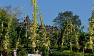300 Penjor Sambut Pengunjung Candi Boro Budur 41 wisata 1