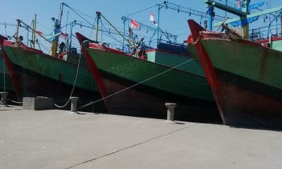 Diduga di Monopoli, Lelang Ikan di TPI Kota Pekalongan Sepi 42 IMG 20160725 114017