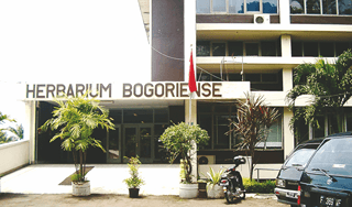 Museum Herbarium di Bogor