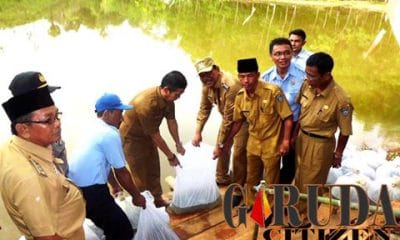 Bupati BU Taburkan Bibit Ikan Di Desa Aur Gading 45 14581559 1675863599398521 5233803994309938998 n