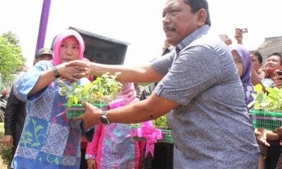 Penyerahan Bibit Tanaman 1