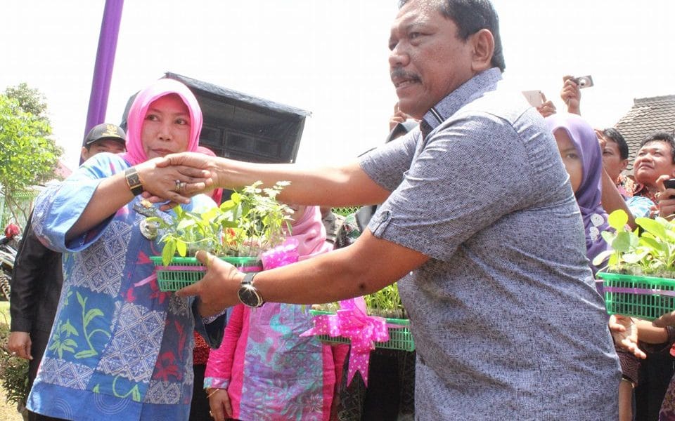 Penyerahan Bibit Tanaman 1