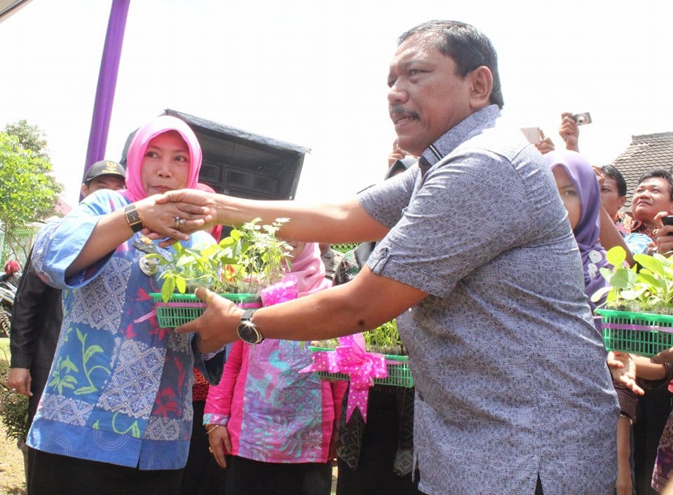 Launching KRPL,Bupati BU Serahkan Bibit Tanaman 47 Penyerahan Bibit Tanaman 1