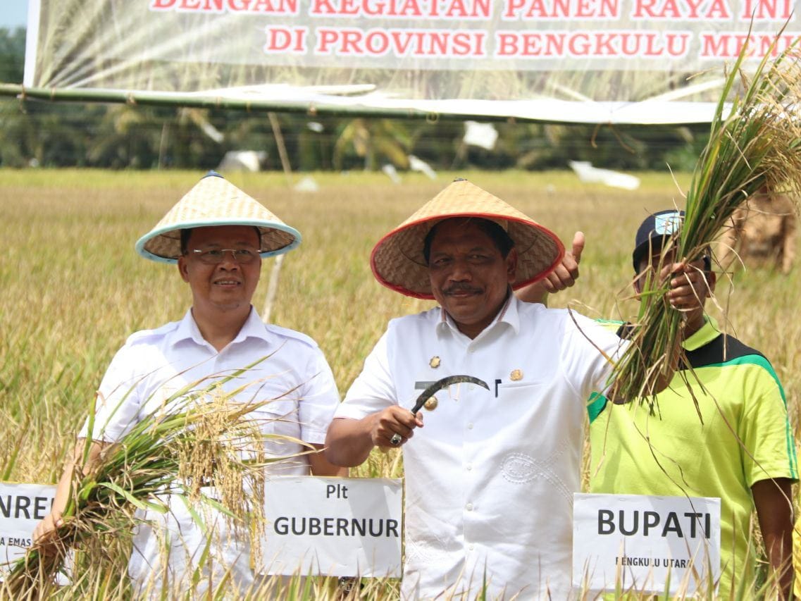 Bupati Bengkulu Utara dan Gubernur Bengkulu Panen Raya 43 IMG 20180207 WA0002