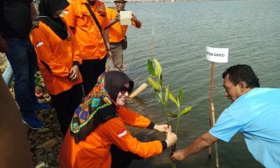 Balqis Diab Resmikan “ Tanam Mangrove Di Sekarwangi “ 52 IMG 20180429 092736