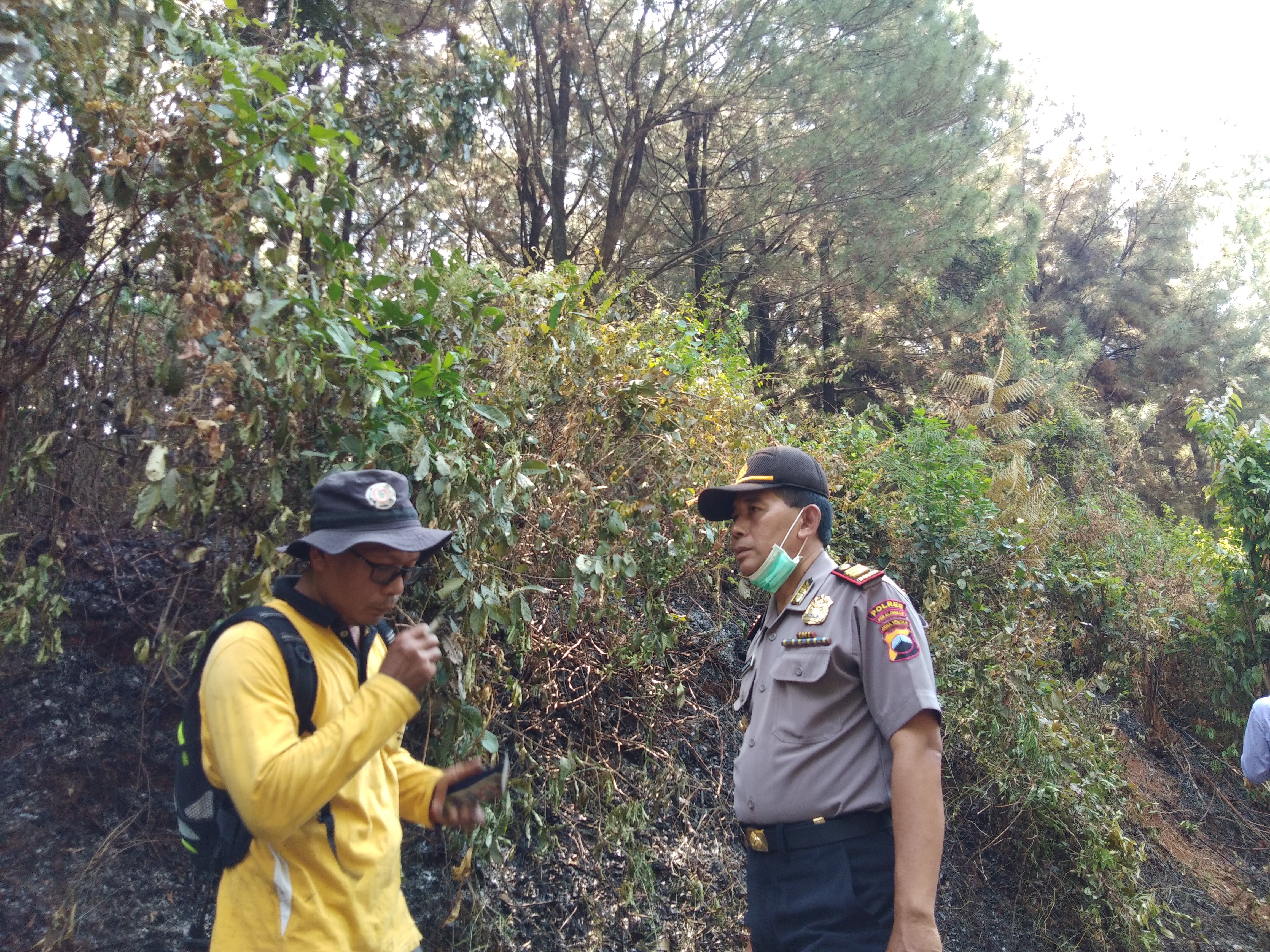 Kebakaran Hutan Di Kabupaten Pekalongan » Garuda Citizen 