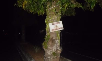 Lampu Hias Jalan Jalur Dua Kota Arga Makmur