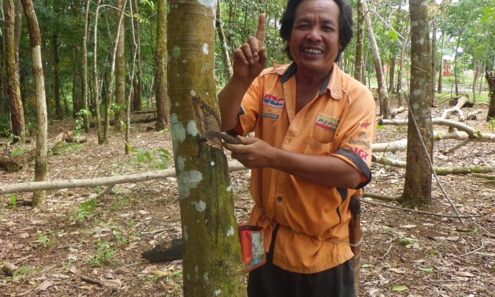 Petani Karet Dukung Jokowi Pilpres 2019