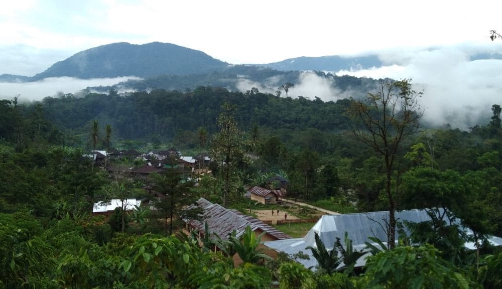 Desa Sungai Lisai, Kecamatan Pinang Belapis, Kabupaten Lebong