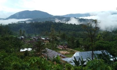 Desa Sungai Lisai, Kecamatan Pinang Belapis, Kabupaten Lebong