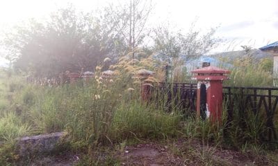 Banyak Aset Pemkab Lebong Dibiarkan Terbengkalai