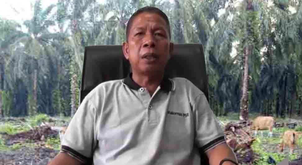 Soal Replanting Sawit di Bengkulu Utara, Begini Kata Sasman