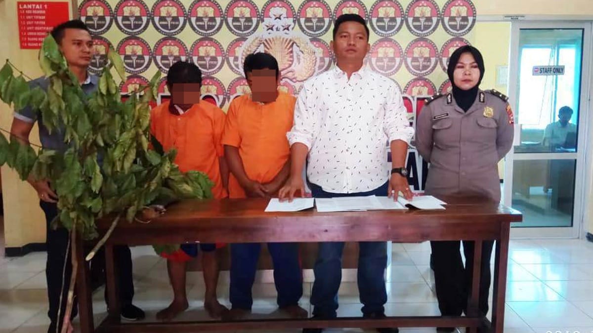 Dua Orang Warga Perambah Hutan Lindung Diringkus Polisi 41 Untitled 1 25