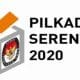 Karena Corona, Pilkada Serentak Tahun 2020 Ditunda 46 Karena Corona, Pilkada Serentak 2020 Ditunda