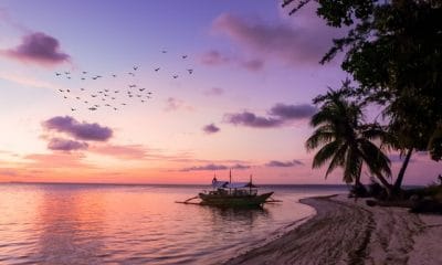 cris tagupa lT7zmkth3o8 unsplash