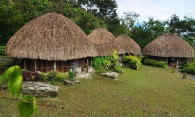 Rumah Adat Papua