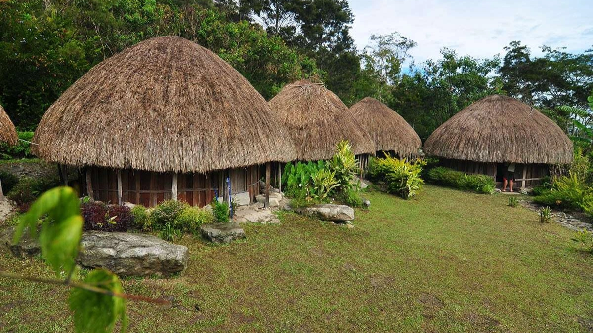 Rumah Adat Papua