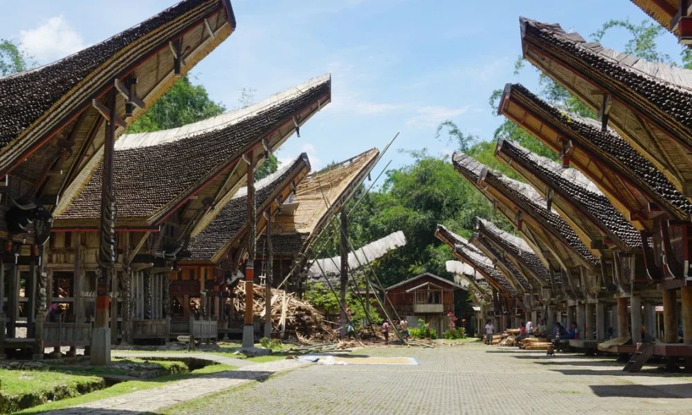 rumah adat suku Toraja