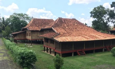 situsfreelanceuntukpemula15 ezgif.com png to webp converter 1