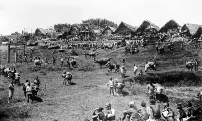 Upacara Adat Sulawesi Selatan