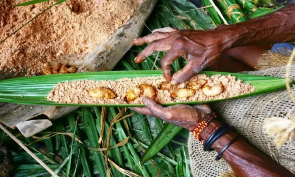 Upacara Adat Papua Barat