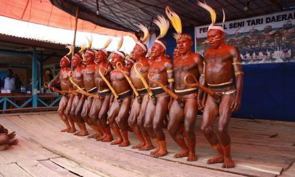 pakaian adat papua