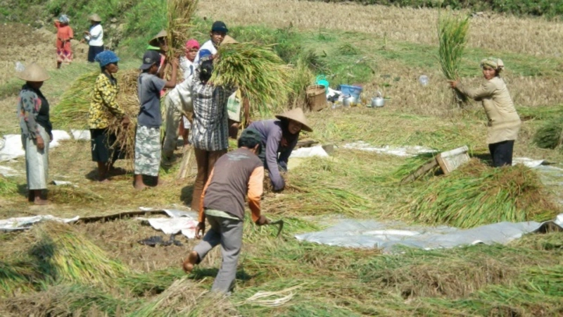 5 Upacara Adat Riau Paling Sakral & Langka! 45 upacara adat riau 43
