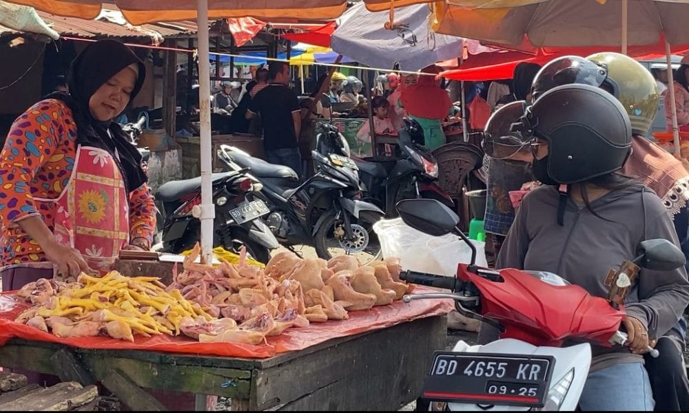 Harga Ayam Potong