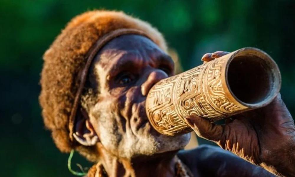 alat musik tradisional papua barat daya